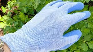 lot 53 image: Boss Antimicrobial Work Gloves SM 10 PackBoss Womens Antimicrobial Work Gloves with COOLMAX, Blue, SM (Pack of 10)