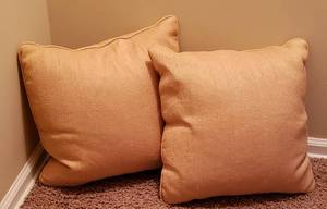 lot 356 image: Pair of Silk and Down Pillows