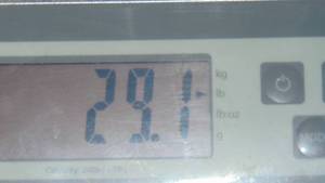 lot 121 image: 25lbs of Maze Stormguard Nails