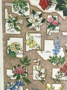 lot 164 image: Vintage State Flowers Of the United States Poster