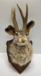 lot 255 image: Vintage Jackalope Mount