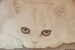 lot 77 image: Stunning Cat Print by McLaughlin