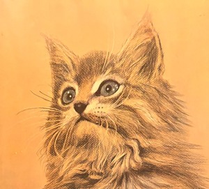 lot 82 image: Vintage Framed Cat Print by Hans P. Luetcke