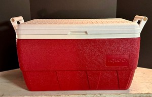 lot 142 image: Two Coolers