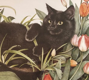 lot 287 image: Tulip Cat Framed Print by Ian Huston
