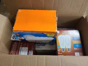 lot 155 image: JJ Box of new lightbulbs and sockets