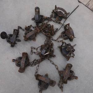 lot 100 image: 10 TRAPS