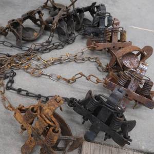 lot 101 image: 10 TRAPS