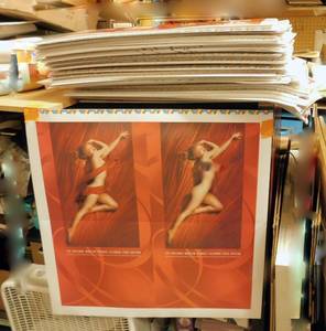 lot 53 image: Lot of 800 The Original Marilyn Monroe 2006 Modesty Version and Original Version Calendar Covers Uncut