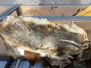 furs and hides  leather