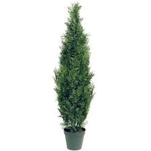 Lot of 2 National Tree Company 60 in. Artificial Arborvitae Tree in Dark Green Round Growers Pot  Customer Returns See Pictures