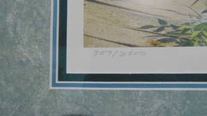 Panic Signed By C.L. Peterson #8072800