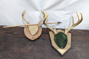 Two Sets of Deer Antlers