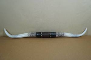 Resin Texas Long Horns