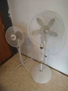 lot 14 image: (2) Telescoping Floor Fans