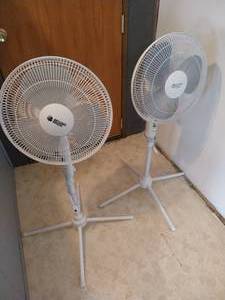 lot 18 image: (2) Floor Fans