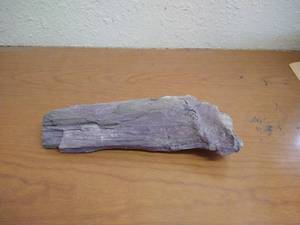 lot 85 image: Large Piece Fossilized Wood