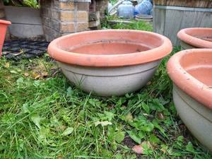 lot 104 image: Shallow Terra Cotta Planters