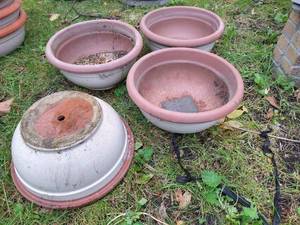 lot 106 image: (4) Terra Cotta Planters
