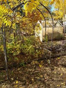 lot 132 image: Garden Arch