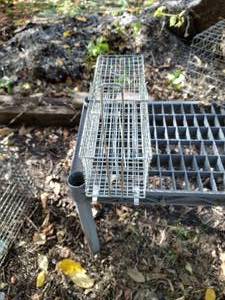 lot 133 image: Small Live Animal Trap