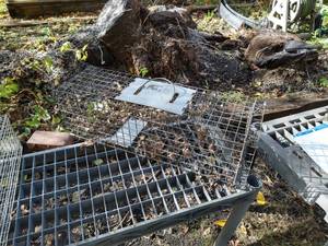 lot 134 image: Medium Live Animal Trap