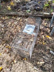 lot 135 image: Large Live Animal Trap