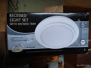 lot 268 image: Recess Lighting With Shower Trim