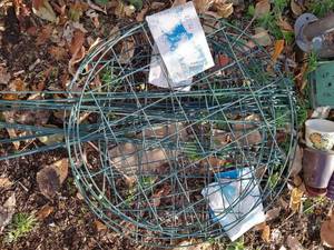 lot 481 image: (5) Round Grid Plant Supports Grow-Through
