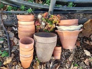 lot 484 image: (20) Terra Cotta Planters Lot