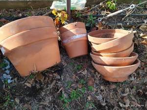 lot 491 image: (11) Terra Cotta PotsPlanters