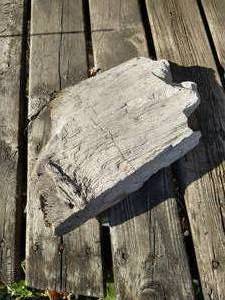 lot 869 image: Large (9x14) Chunk of Petrified Wood