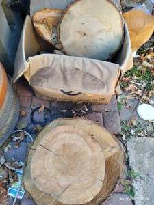 lot 876 image: Nice Wood Chunk Lot