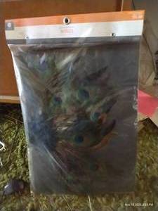 lot 949 image: Brand New Peacock Feather Wing Costume