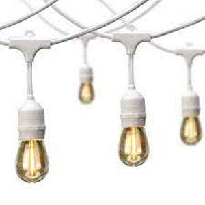 lot 45 image: Hampton Bay 12-Light 24 ft. IndoorOutdoor Plug-In Edison Bulb String Light with S14 Single Filament LED Bulbs in White Cord