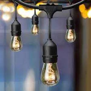 lot 44 image: Hampton Bay 12-Light 24 ft. IndoorOutdoor Plug-In Incandescent Edison Bulb String Light