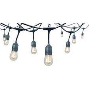 lot 48 image: Hampton Bay 12-Light 24 ft. IndoorOutdoor String Light with S14 Single Filament LED Bulbs
