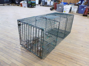 lot 169 image: Live Trap