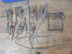 lot 176 image: Hunting Traps