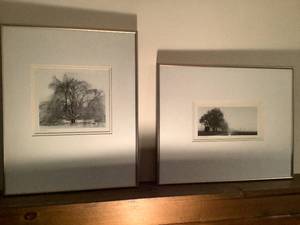 lot 64 image: 2 Tree Framed Pictures