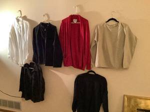 lot 444 image: Womens XL Shirts