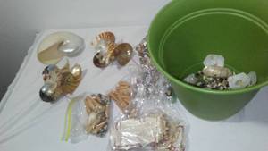 lot 273 image: Beautiful Seashells In Planter