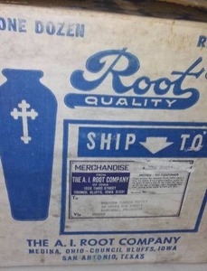 lot 296 image: Sanctuary Lights (Case)