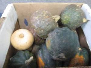 lot 31 image: Box of Assorted Winter Squash...
