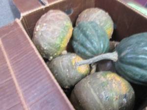 lot 32 image: Box of Assorted Winter Squash...