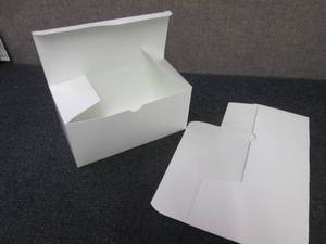 lot 478 image: Case of 250 - White Paper Boxes 4x4...