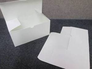 lot 481 image: Case of 250 - White Paper Boxes 4x4...