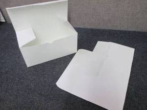 lot 482 image: Case of 250 - White Paper Boxes 4x4...