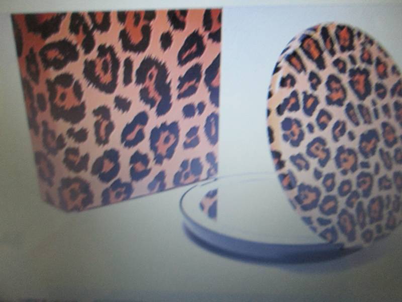 lot 317 image: 2 Pop Sonic Compact LED Lighted Mir...