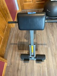 lot 116 image: Stamina Abdominal Exercise Bench